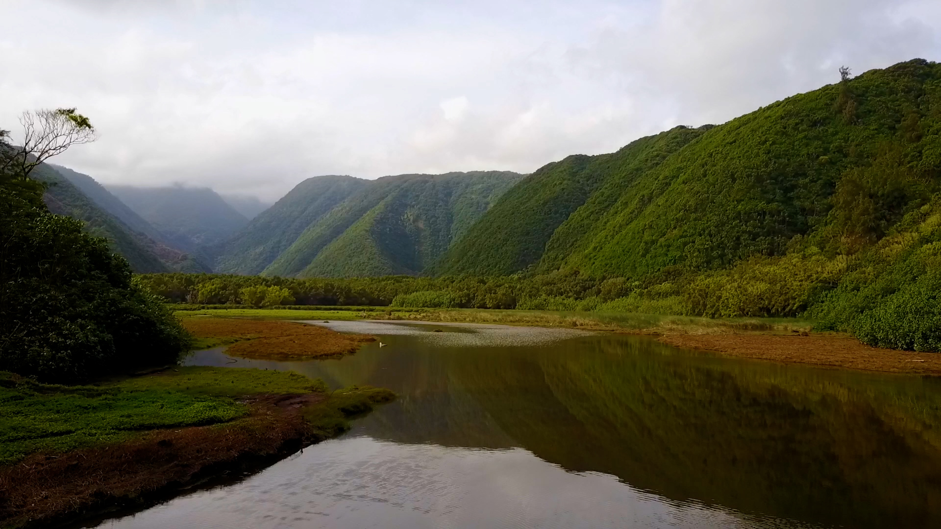 Everything Hawaii: Pololu Valley